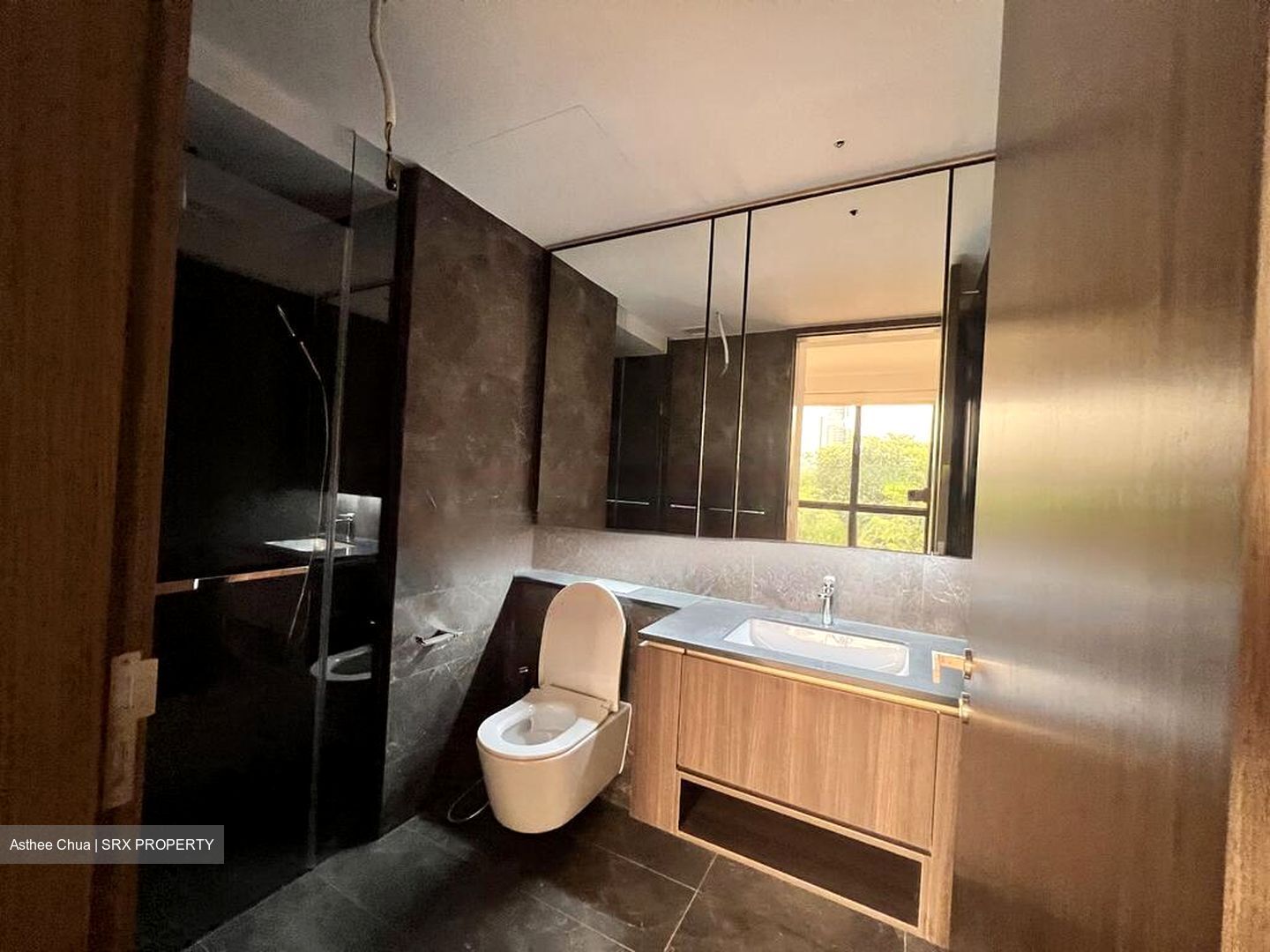 Kopar At Newton (D9), Apartment #453924131